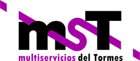 Mst Multiservicios Del Tormes